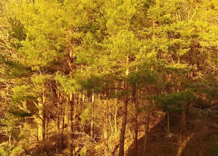 Apartamento Haus Bellevue 22 Sellin (Rugen)